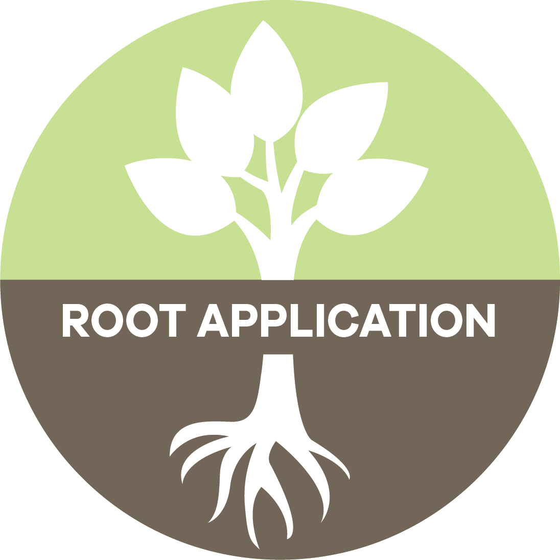 Root application